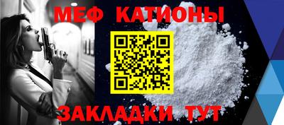 сатива Гатчина