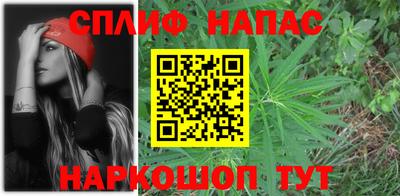 сатива Гатчина