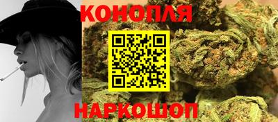 сатива Гатчина