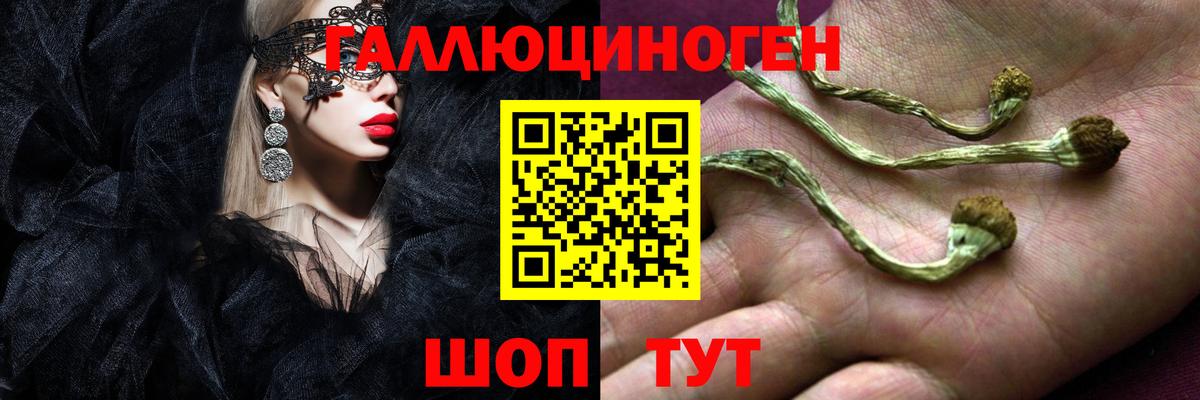 Псилоцибиновые грибы прущие грибы Малоярославец